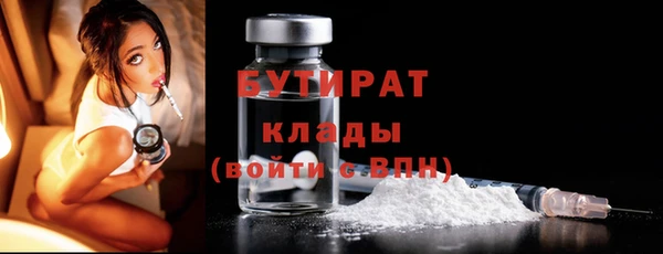 ECSTASY Гусь-Хрустальный